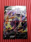 Morpeko V