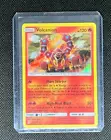 Volcanion