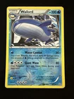 Wailord