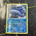 Wailord
