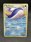 Wailord