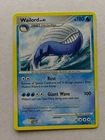 Wailord