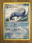 Wailord