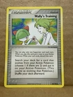 Wally's Training