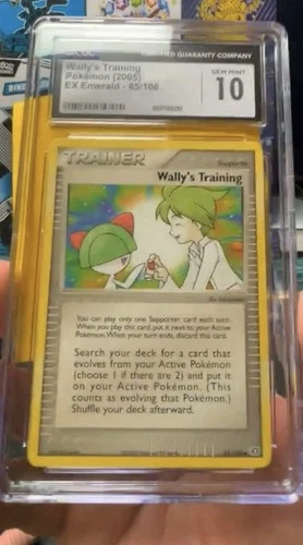 Wally's Training
