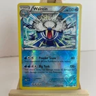 Walrein