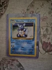 Wartortle