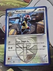 Watchog