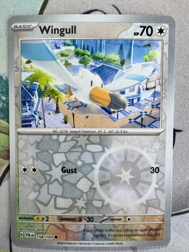 Wingull