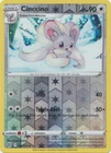 Cinccino