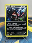 Yveltal