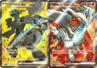 Sealed Zekrom Ex Tin