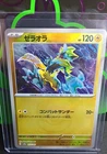 Zeraora