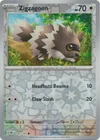 Zigzagoon