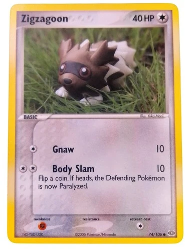 Zigzagoon
