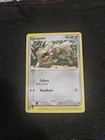 Zigzagoon