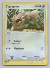 Zigzagoon