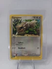 Zigzagoon