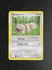 Zigzagoon