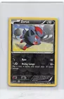 Zorua