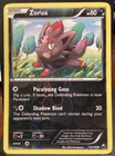 Zorua