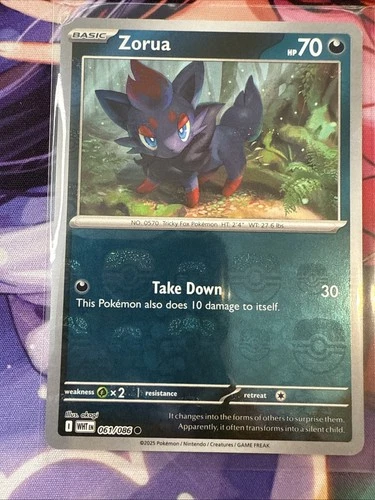 Zorua