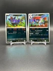 Zorua