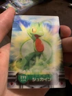 Treecko