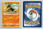 Zygarde