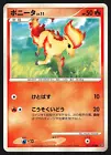 Ponyta