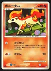 Ponyta