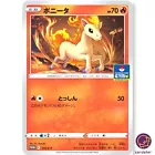 Ponyta