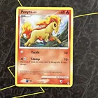 Ponyta