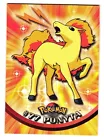 Ponyta