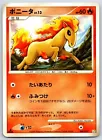 Ponyta