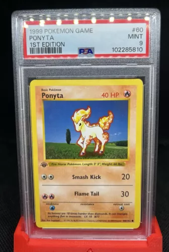 Ponyta