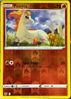 Ponyta