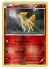 Ponyta