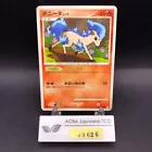 Ponyta