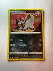 Poochyena