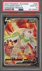 Chesnaught V