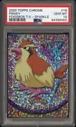 Pidgey