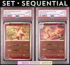 Ponyta