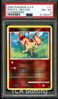 Ponyta