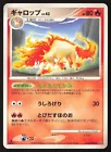 Rapidash