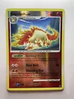 Rapidash