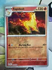 Rapidash
