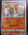 Rapidash