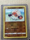 Clobbopus