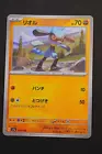 Riolu